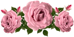 flowers-4863418_1280 (289x146, 86Kb)