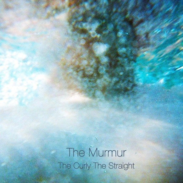 The Murmur - Brilliant nothing